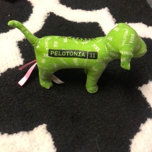 Victoria secret pink dog.  Pelotonia 11